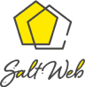 Salt Web