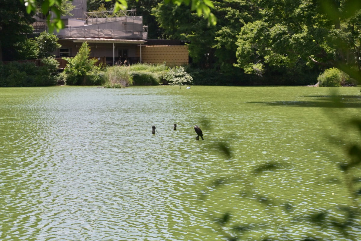 日常のちょっと困ったから、生まれついての体質まで。